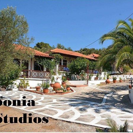 Sonia Studios Nees Kidonies Quarto foto