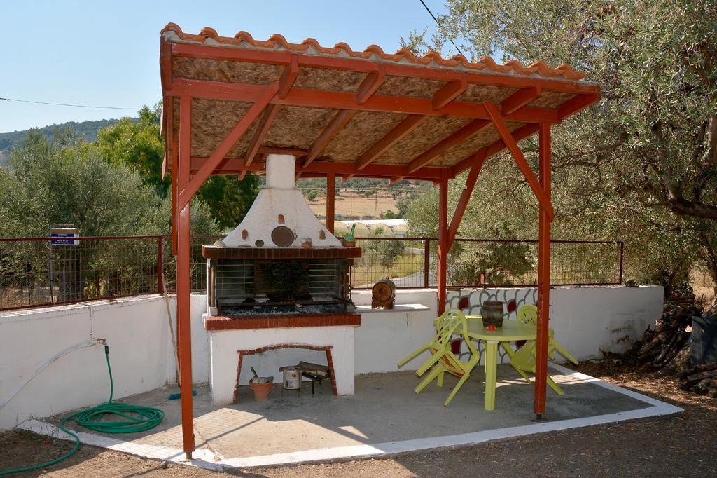 Sonia Studios Nees Kidonies Quarto foto