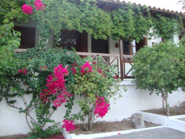 Sonia Studios Nees Kidonies Quarto foto