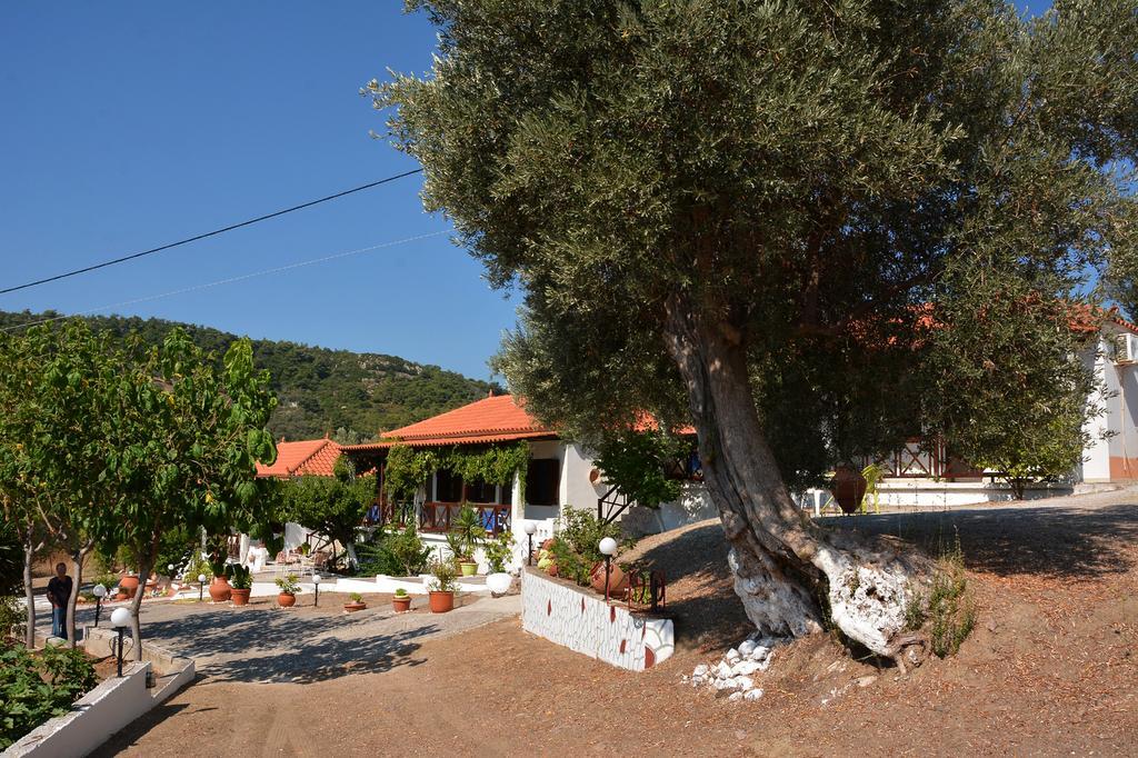 Sonia Studios Nees Kidonies Quarto foto
