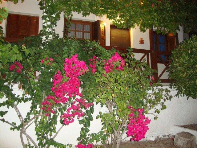 Sonia Studios Nees Kidonies Quarto foto