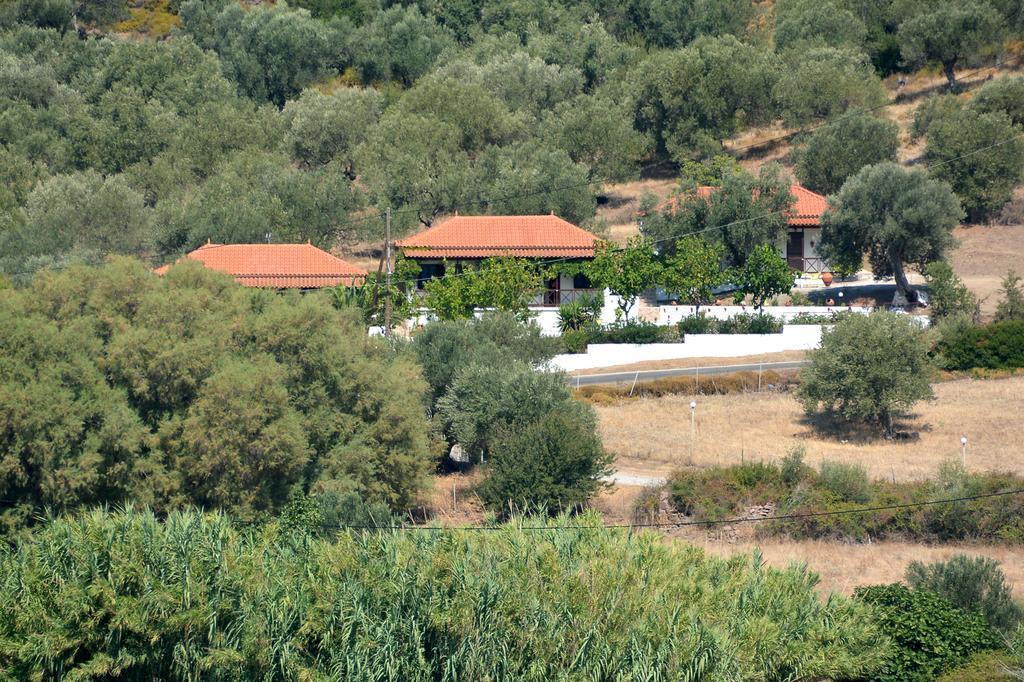 Sonia Studios Nees Kidonies Exterior foto
